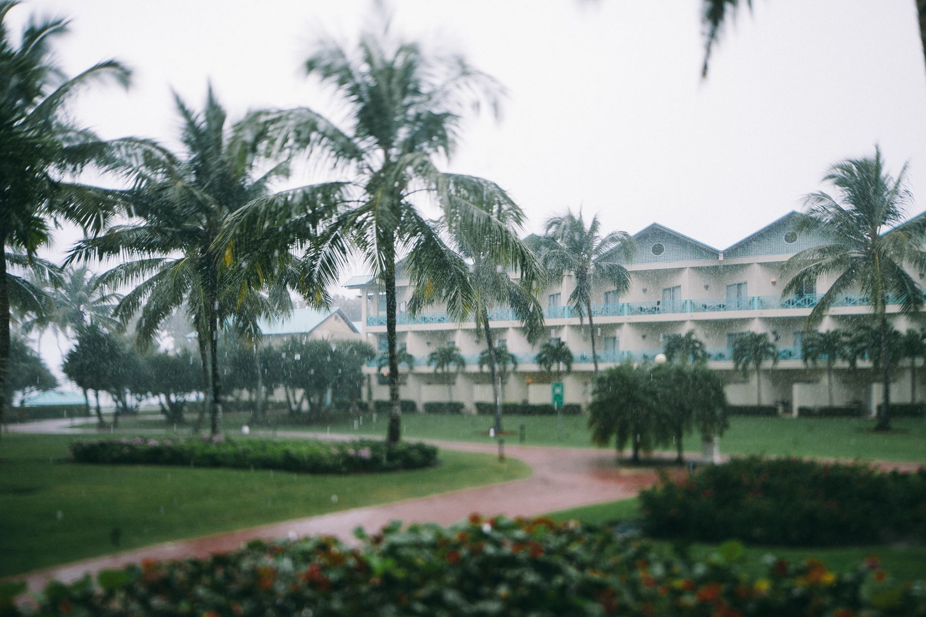 Tropical building and palm trees exposed to heavy rain